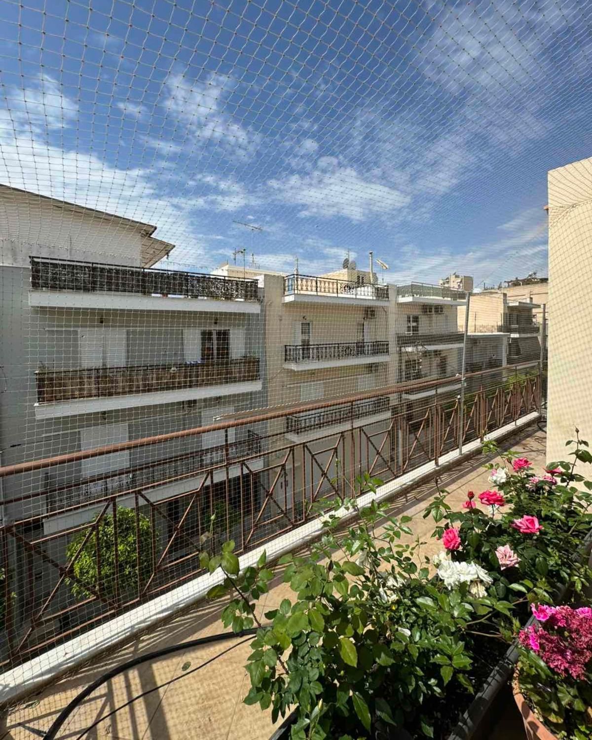 Apartment Safety Nets
