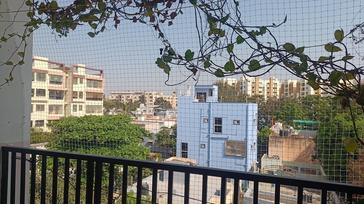Apartment Safety Nets