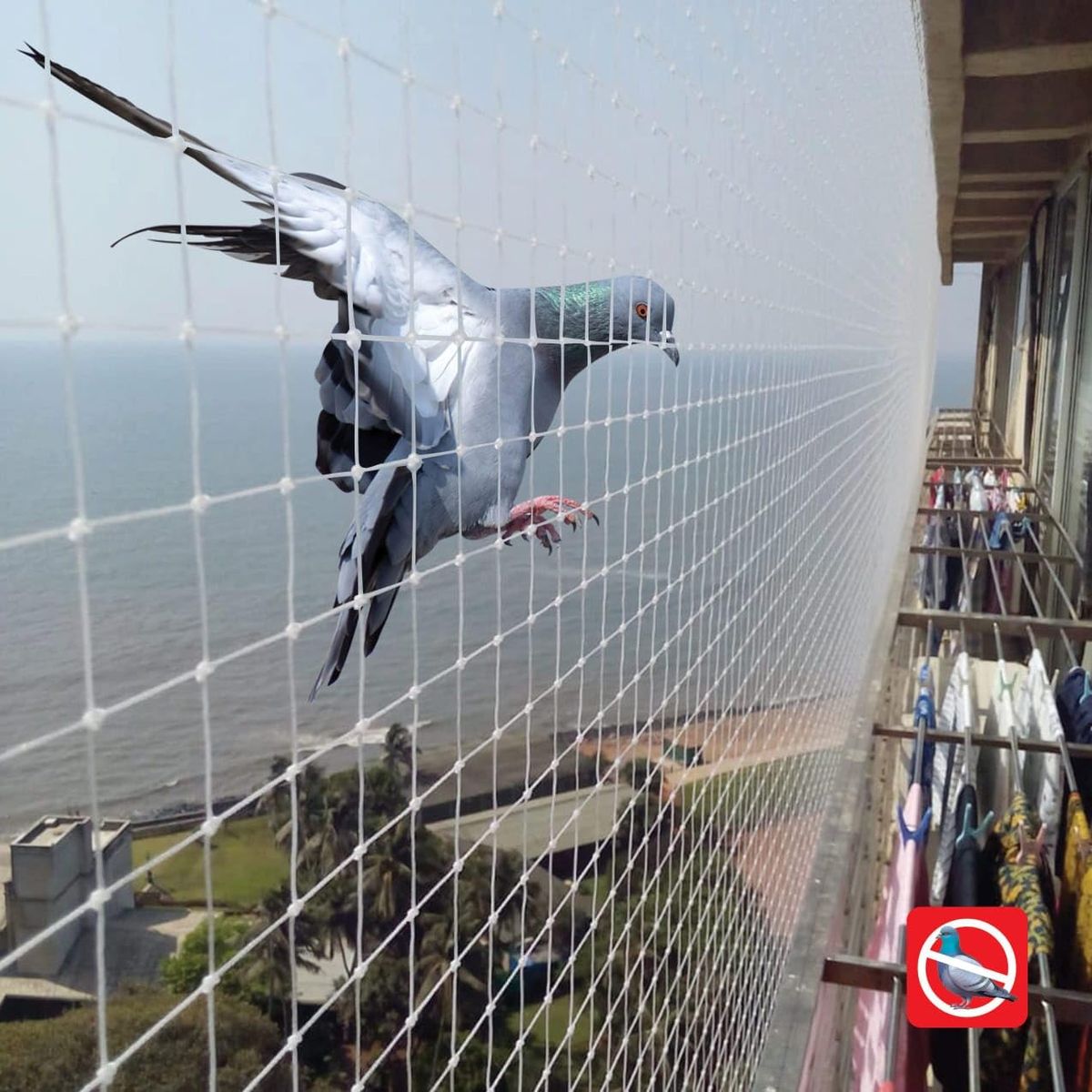 Apartment Safety Nets